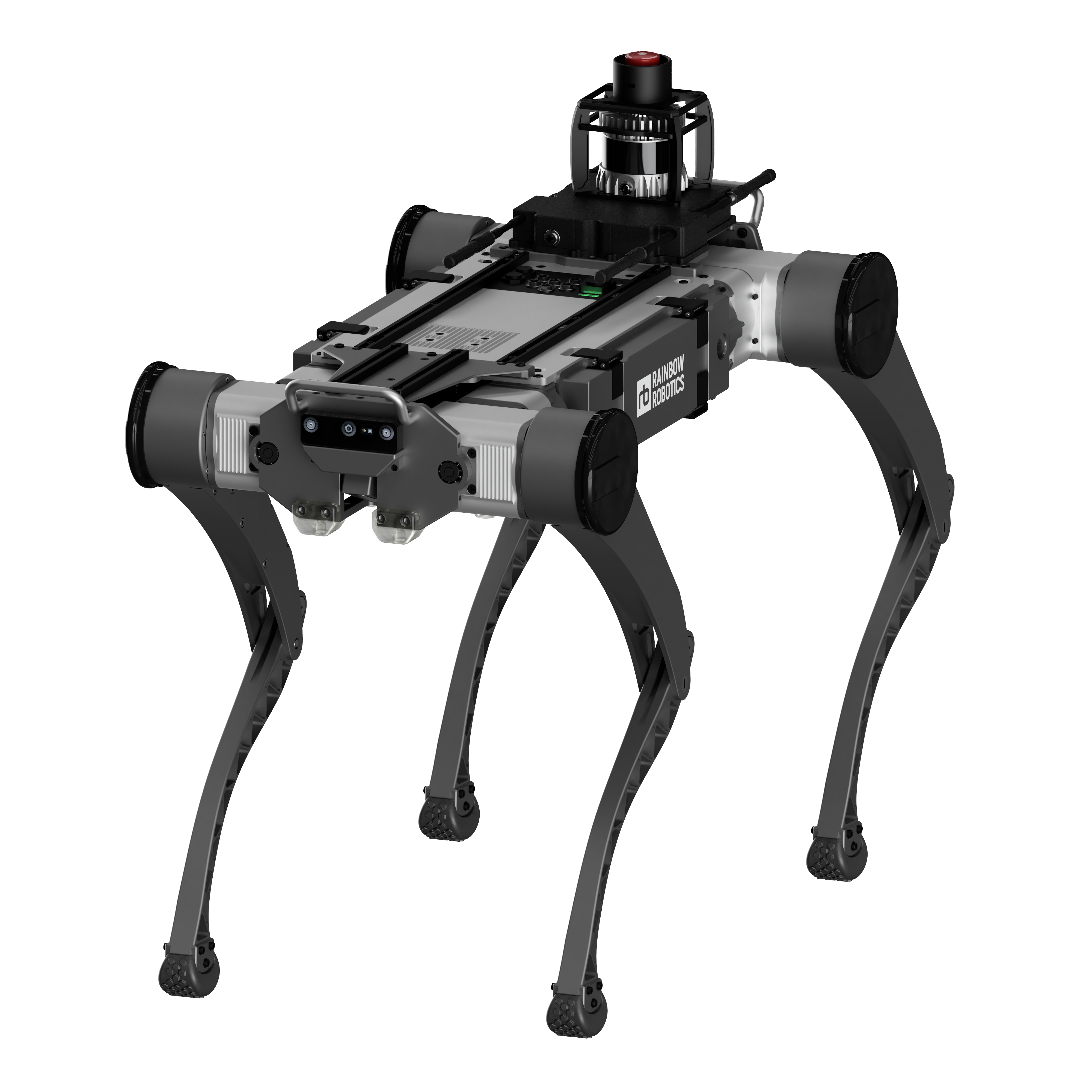 RBQ quadruped robots